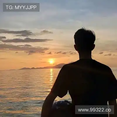 韦飚将